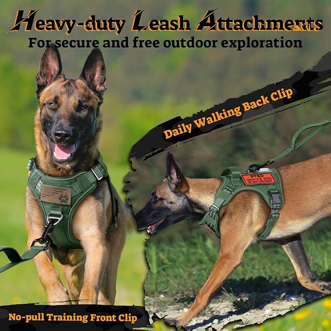 rabbitgoo Dog Harness for Large Dogs No Pull, Tactical Service Pet Vest with Molle and Control Handle, Adjustable and Reflective Military Harness for Easy Walking and Training, Green, XL