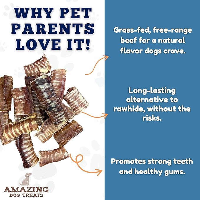Amazing Dog Treats - 6 Inch Beef Trachea Dog Chews (100 pcs) - Trachea Dog Treats - NO Hide - Digestible and Safe Chews for Dogs - Glucosamine and Chondroitin for Joint Health for Dogs