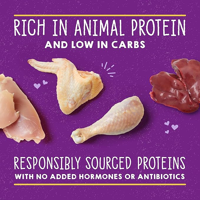 Stella & Chewy's Carnivore Cravings Savory Shreds - Wet Cat Food - High-Moisture Formula with Premium Cage-Free Chicken & Chicken Liver - Perfect for Picky Eaters - 5.2 oz, 8 Count