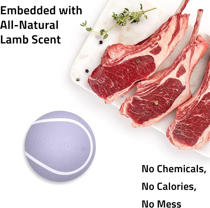 Playology Dog Toys | Squeaky Chew Ball - Bouncy Durable Floating Fetch Ball for Dogs | Jumbo Lamb Scented Toy - Easy to Clean and Made from Non Toxic Materials