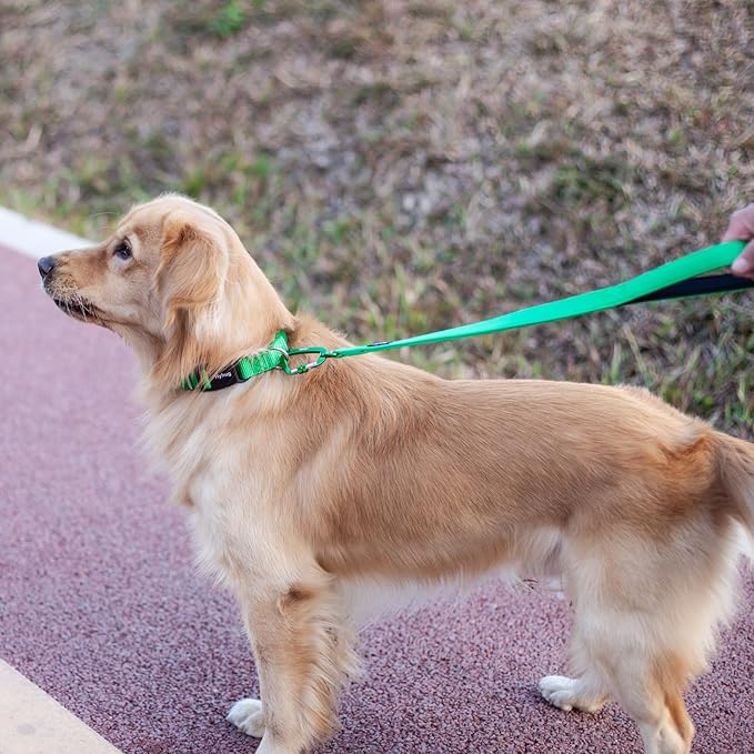 Hyhug Pets 24 Inches Heavy Duty Short Leash with Soft Handle and Lightweight Aviation Aluminium Clip Lead- for Large Medium Dogs Daily Necessities. (24 Inches, Lime Green)