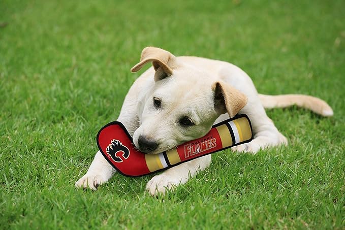 Pets First CGY-3232 Pet Toy