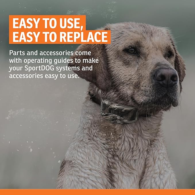 SportDOG Brand Short Contact Points - 1/2 Inch Replacement Probes E-Collars - Standard Length