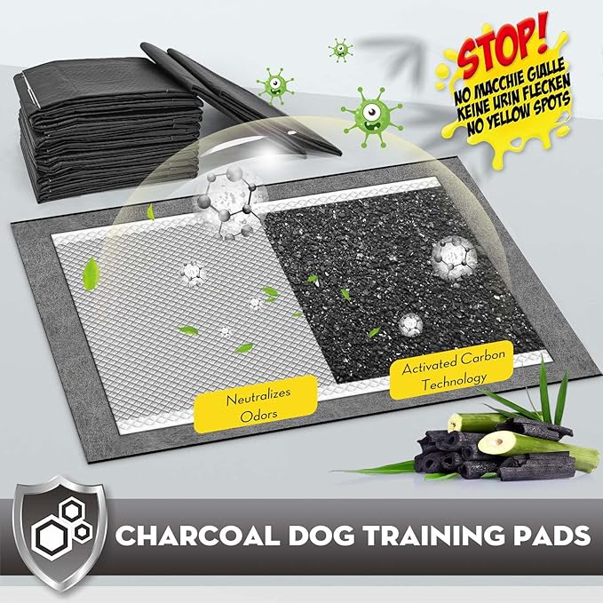 CROCI Charcoal Puppy Pads 23"x24" Standard Size, Odor-Control Carbon Dog Training Pads Absorbs Up to 4 Cups of Liquid, 6-Layer Leak-Proof & Quick Dry Pee Pads for Dogs, Disposable (100 Counts)
