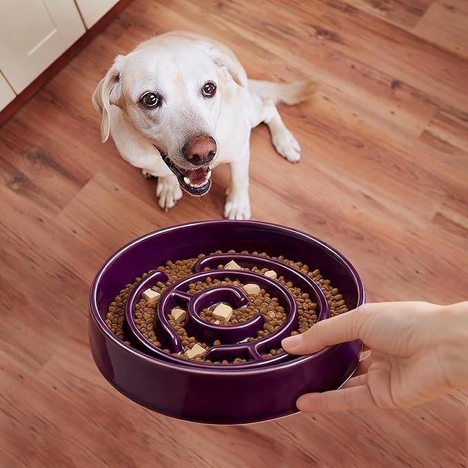 Ceramic Slow Feeder Dog Bowl,1.5 Cups Pet Slow Feeder for Small and Medium Breed,Puzzle Dog Food Dish,Anti-Gulping,Stop Bloat,Preventing Choking(Purple)