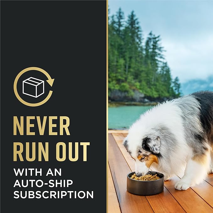 Purina Pro Plan Sensitive Skin and Stomach Dog Food Dry, Adult Salmon & Rice Formula, Digestive Health - 40 lb. Bag