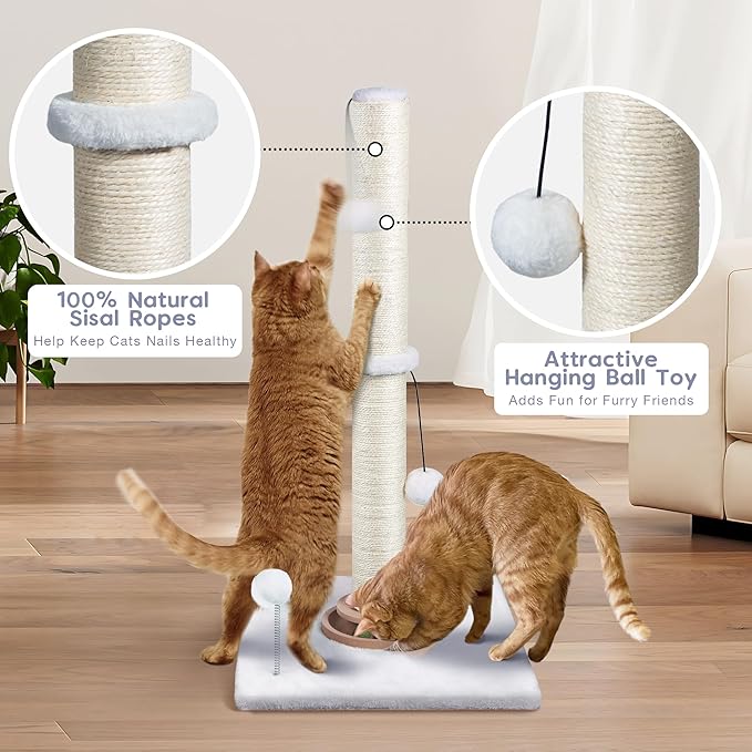 Fantasreen 31" Cat Scratching Post Kitten Toys for Indoor Cats, Interactive Cat Scratcher with Catnip Balls, Sisal Scratch Rope for Large Cats, White