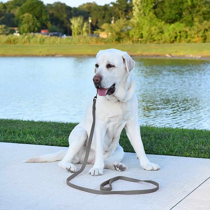 Dogline Biothane Waterproof Dog Leash Strong Coated Nylon Webbing with Black Hardware Odor-Proof Easy to Clean High Performance for Small or Large Dogs Made in USA 4 or 6 ft Lead, Battleship Gray