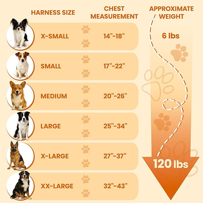 Bark Appeal Black No-Pull Dog Harness for Medium to Large Sized Pets – Adjustable, Reflective Vest with 3 Leash Clips for Added Control, Easy Walks & Training – Large