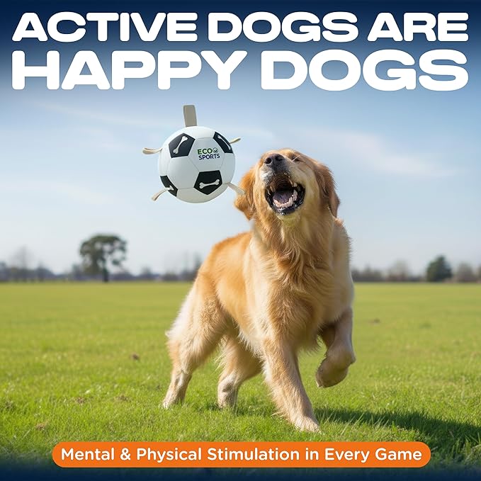 Eco Sports Small Dog Soccer Ball with Straps – Size 2, Interactive Durable Dog Soccer Ball with Cotton Grab Tabs for Fetch Training and Outdoor Play, for Small Size Pets and Puppies