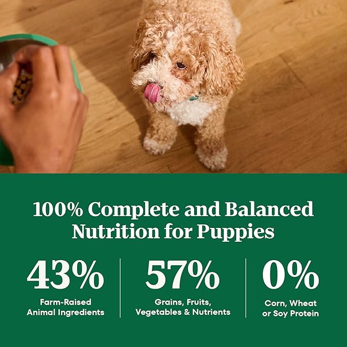 Nutro Natural Choice Large Breed Puppy Food Dry, Chicken & Brown Rice Recipe, 13 lb. Bag