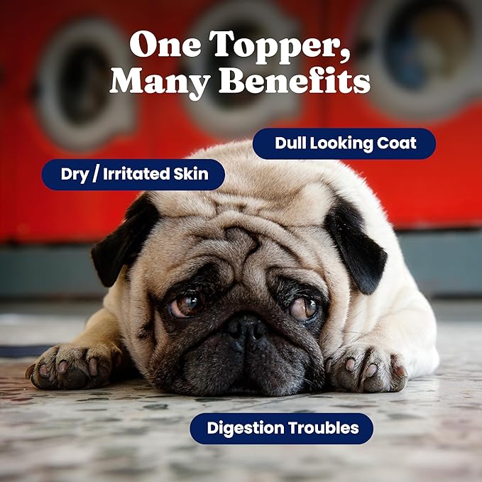 Solid Gold Cat & Dog Multivitamin Powder - Kelp Powder, Omega 3 & Vitamins for Dental, Digestive, Immune, Skin & Coat Health - Multi Vitamin for Dogs & Cats - Cat & Dog Food Additive Supplement - 1lb