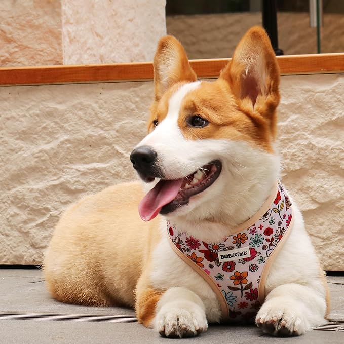 Flower Printed Dog Harness with D-Ring Leash Clip Set,Adjustable Soft Padded and Cotton Fabric Pet Vest for Medium and Small Dogs (Navajo White, Medium)