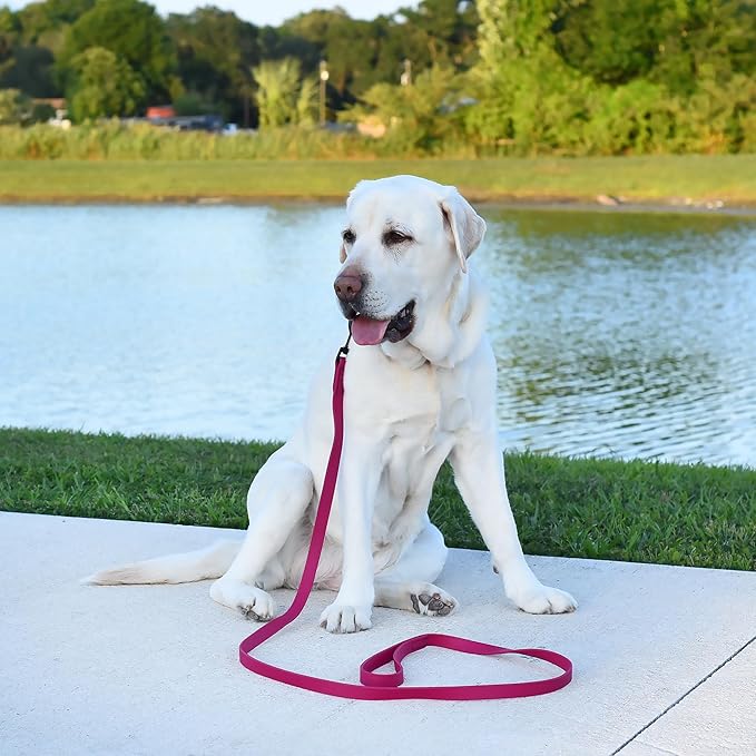 Dogline Biothane Waterproof Dog Leash Strong Coated Nylon Webbing with Black Hardware Odor-Proof Easy to Clean High Performance for Small or Large Dogs Made in USA 4 or 6 ft Lead, Magenta Pink