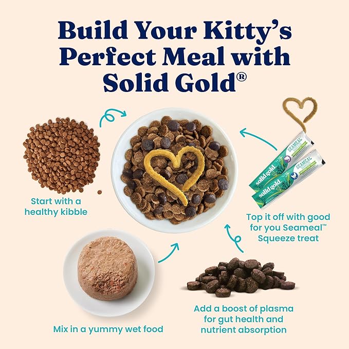 Solid Gold Tropical Blendz Salmon Pate in Coconut Oil - Nutrient-Rich Wet Cat Food for All Life Stages, 8 Pack