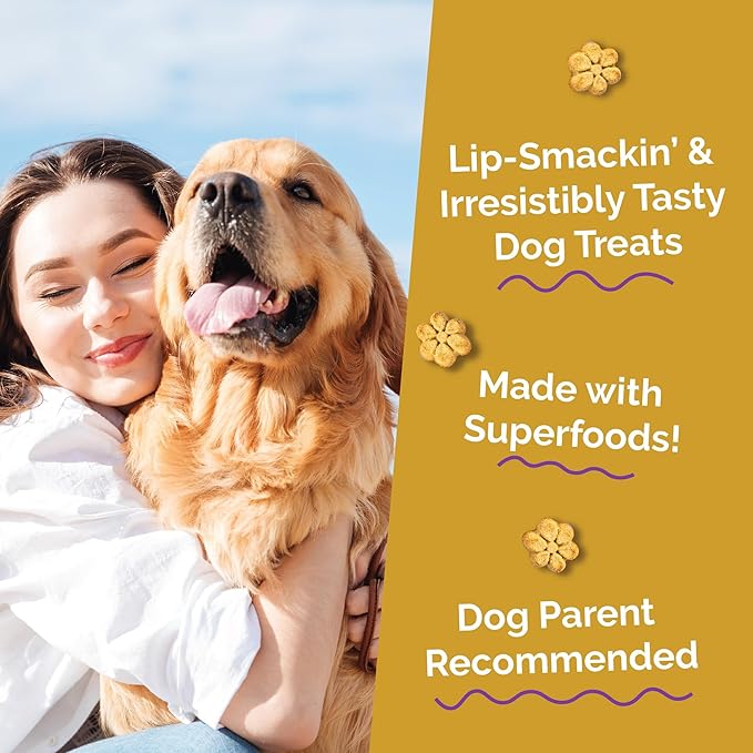 Fruitables Baked Dog Treats, Healthy Pumpkin Treat for Dogs, Low Calorie & Delicious, Free of Wheat, Corn and Soy, Made in The USA, Chicken and Cranberry Flavor, 12 oz