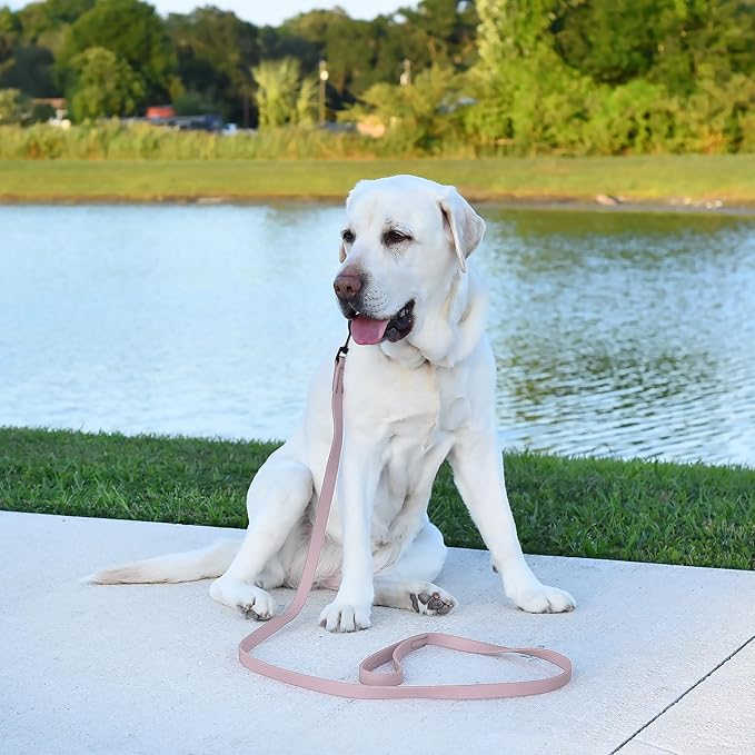 Dogline Biothane Waterproof Dog Leash Strong Coated Nylon Webbing with Black Hardware Odor-Proof Easy to Clean High Performance for Small or Large Dogs Made in USA 2 ft Lead, Pastel Purple