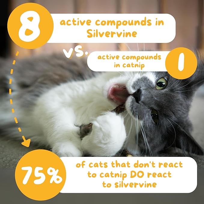 Hide & Scratch Premium Silvervine Sticks for Cats with Gall Fruit Powder for Extra Potency; Cat Enrichment Cat Chew Toy and Dental Sticks - More Effective Than Catnip Toys! (12 ct)