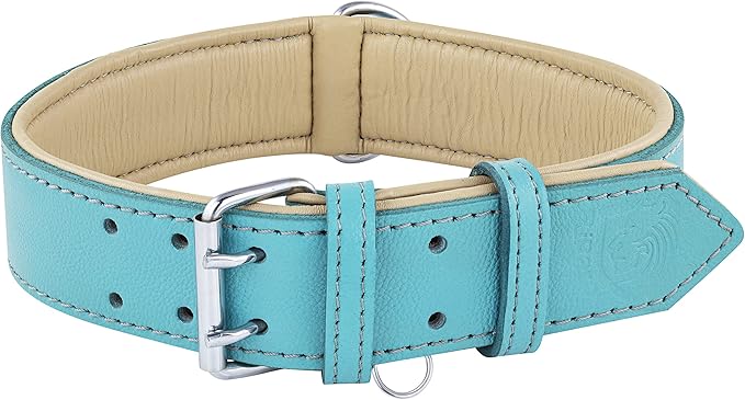 Riparo Dog Collars for Medium Dogs, Genuine Leather Dog Collar, Medium Dog Collar (M: 1" Wide for 13.5”-17.5” Neck, Aqua)