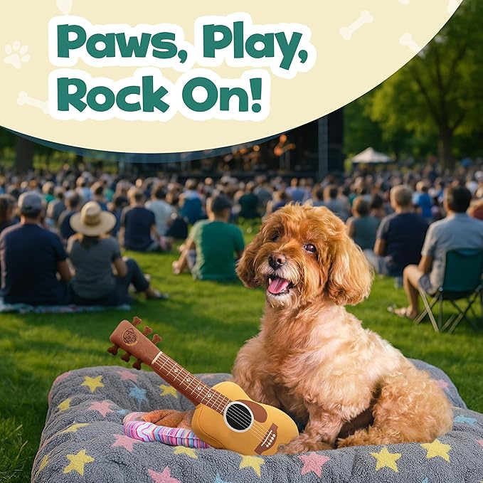 Acoustic Guitar Dog Toy – Christmas & Birthday Dog Gift, Interactive Squeaker & Crinkle, Plush & Cute, Fun Puppy Stocking Stuffer