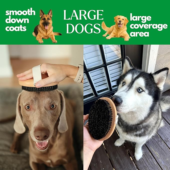 GranNaturals Soft Bristle Dog Brush for Short Haired Dogs & Cats w/Strap - Wooden Handle & Gentle Boar Bristles for Deshedding, Smoothing and Grooming Pet Hair Fur to Give Naturally Shiny Coat