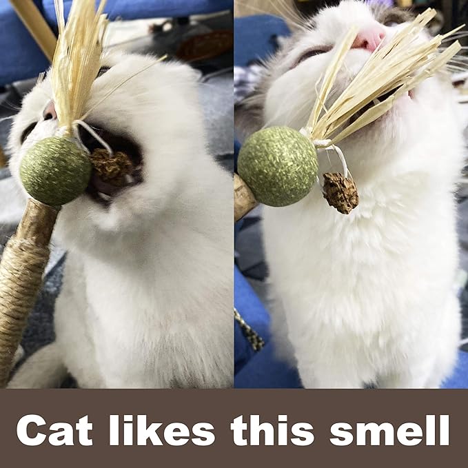 PAZ'S GIFT Catnip Toy Cat Toys Catnip Toy cat chew Toy cat Kicking silvervine Stick Teeth Cleaning Cute Kitten Teething Indoor Interactivecat Dental Care Matatabi (Catnip Balls)