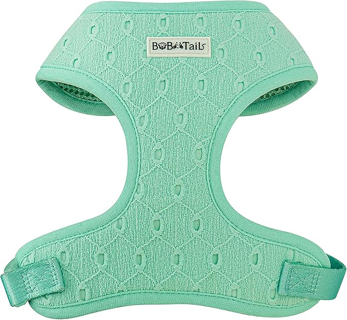 Silk Embroidery Dog Harness with D-Ring Leash Clip Set,Adjustable Soft Padded and Cotton Fabric Pet Vest for Medium and Small Dogs (Mint, Extra Small)