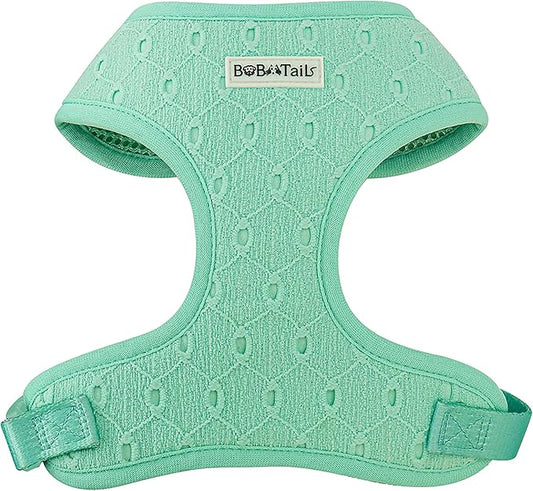 Silk Embroidery Dog Harness with D-Ring Leash Clip Set,Adjustable Soft Padded and Cotton Fabric Pet Vest for Medium and Small Dogs (Mint, Extra Small)