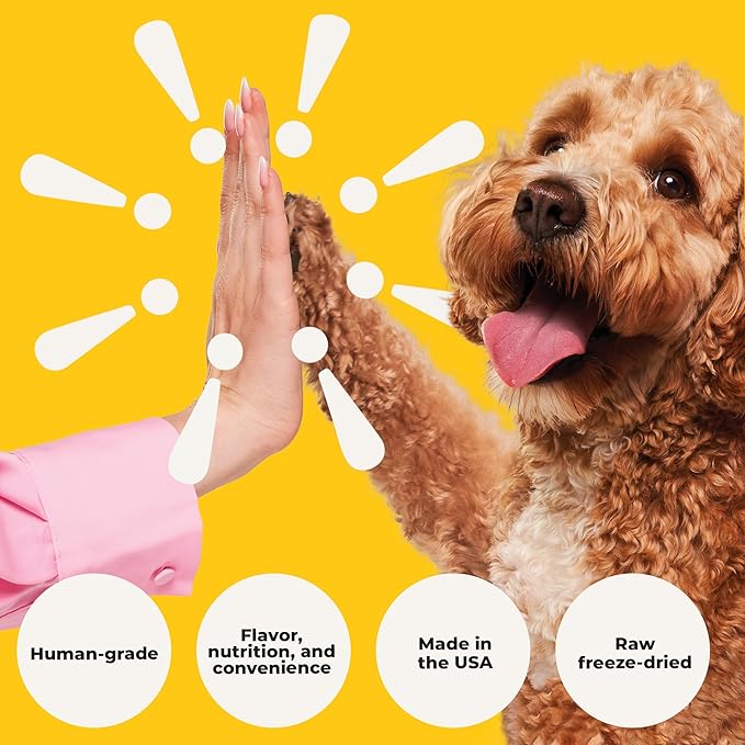 Beef Liver Dog Treats Freeze Dried - Single Ingredient Human Grade Raw Liver Bites for Training, Meal Topper, No Additives - High Protein (31g Per Cup) Dog Stocking Stuffers, Made in the USA, 14oz Bag