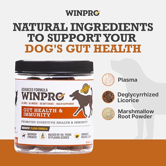 WINPRO Dog Gut Health Supplement – Plasma-Powered Soft Chews for Dog Immune Health Support & Gut Health, Made with Natural Ingredients for Dogs of All Breeds & Sizes - 60 Count