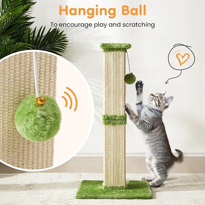 Indoor Cat Scratching Post: 32 In Tall Cat Scratcher with Natural Sisal Rope, Kitty Pet Tower with Sturdy Wood Base and Hanging Ball Toy, Great Gift for Small and Large kittens, LIght Green