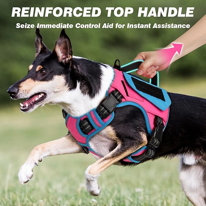 WINGOIN Tactical Dog Harness for Small Dogs, No Pull Harness with Handle Pockets Poop Bag, Reflective Dog Vest, Military Service Heavy Duty Big Dog Harness for Walking Hiking Training (Pink Blue, S)