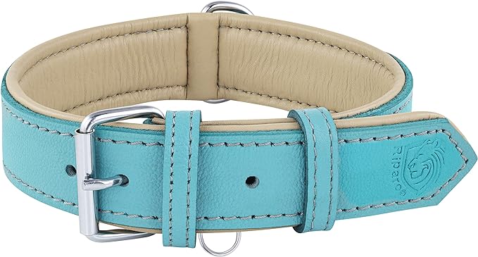 Riparo Adjustable Leather Dog Collar - Heavy Duty Wide Dog Collar for Small, Medium, Large and Extra Large Dogs with Dog Tag Holder (L: 1.5" Wide for 17"-21" Neck, Aqua)