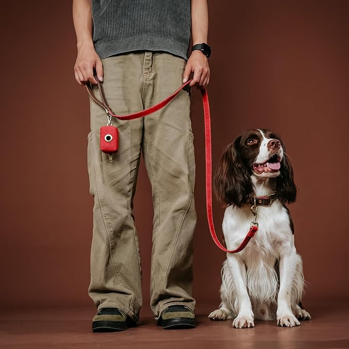 Didog PU Leather Dog Leash for Small Dogs 4.5ft, Soft Padded Handle Dog Leashes for Medium Size, Walking and Training Leashes Faux Leather for Large Pet,Red