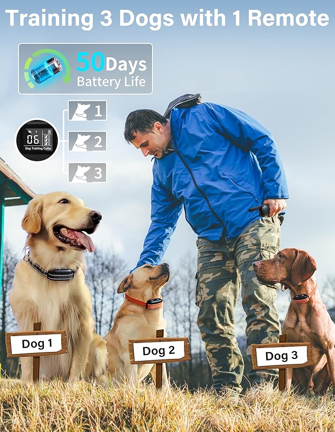 PaiPaitek Bark Collar with Remote and Automatic Mode - 3300ft Range Bark and Training Collar Combo, Shock Collar for Dogs 40-151 lbs Waterproof & Rechargeable