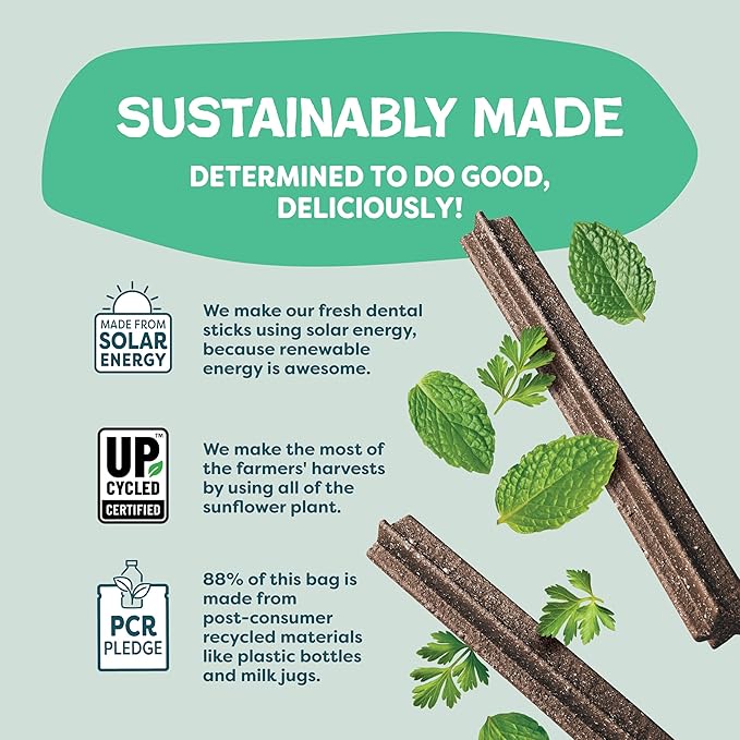 Shameless Pets Dental Chews for Dogs, Variety (4-Pack) - Natural Dog Teeth Cleaning Treats with Fresh Breath Benefits | Grain-Free Dental Sticks for Small, Medium & Large Dogs