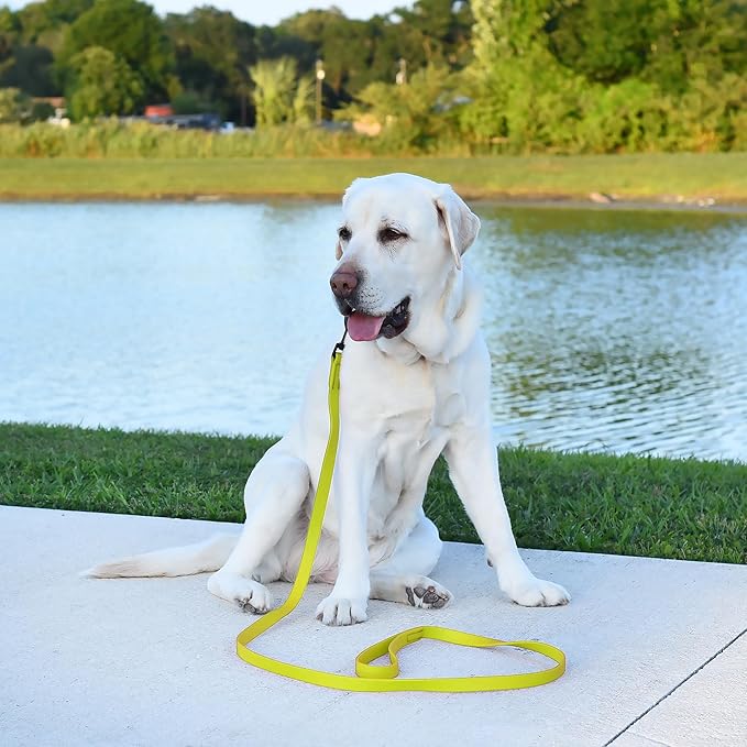 Dogline Biothane Waterproof Dog Leash Strong Coated Nylon Webbing with Black Hardware Odor-Proof Easy to Clean High Performance for Small or Large Dogs Made in USA 4 or 6 ft Lead, Safety Yellow
