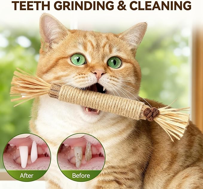 6 Pcs Cat Toy Set - Sisal Rope Mouse Toys with Feather & Rattle + Silvervine Chew Stick, Interactive Hunting & Dental Care Mice Toys for Indoor Kittens & Adult Cats