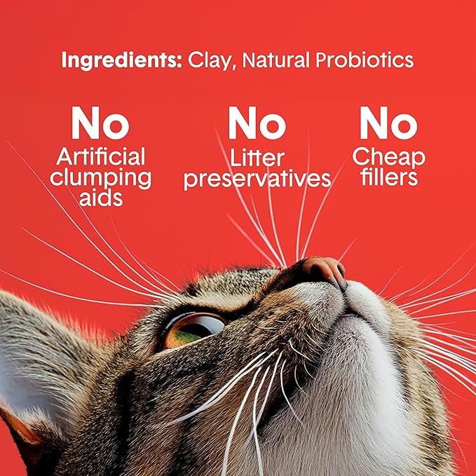 Boxie® Extra Strength 35 Day Odor Control Clumping Clay Cat & Kitty Litter 16lb, 99.9% Dust-Free, Probiotic Formula, Long-Lasting, Veterinarian Approved, Easy Scooping for Multi-Cat Homes