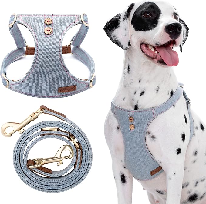 Dog Harness, No Pull Dogs Harness and Multi-Function Leash Set for Medium Dogs Easy Walk Everyday Adjustable Soft Dog Vest Harness Fashionable Dog Accessories Grey Blue-Button-M(16lb-35lb)