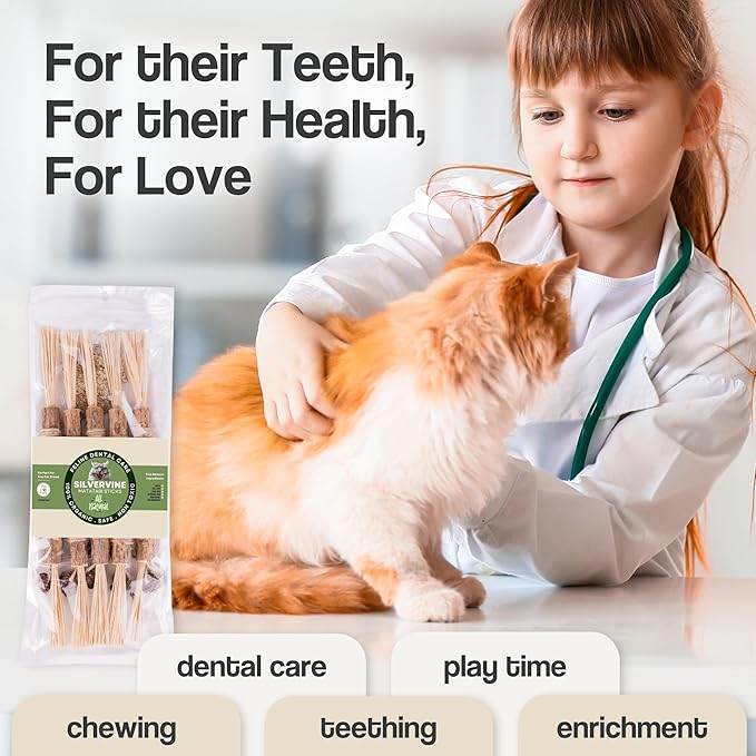 The Cat Park Silvervine Sticks for Cats 5 Pcs, Natural Catnip Cat Chew Toys for Indoor Cat Teeth Cleaning, Aggressive Chewers, Kitten Teething Matatabi Chew Stick Cat Toys, Silvervine for Cats