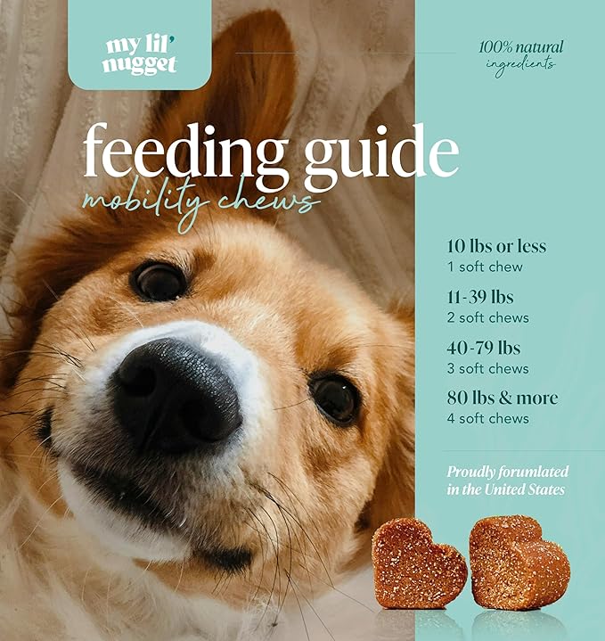 My Lil’ Nugget – Vet-Approved Hip and Joint Support for Dogs | All-Natural Dog Arthritis & Joint Pain Relief | Glucosamine, Chondroitin & Hemp | All-Ages – Senior Dog to Puppy | 90 Bacon Flavor Chews