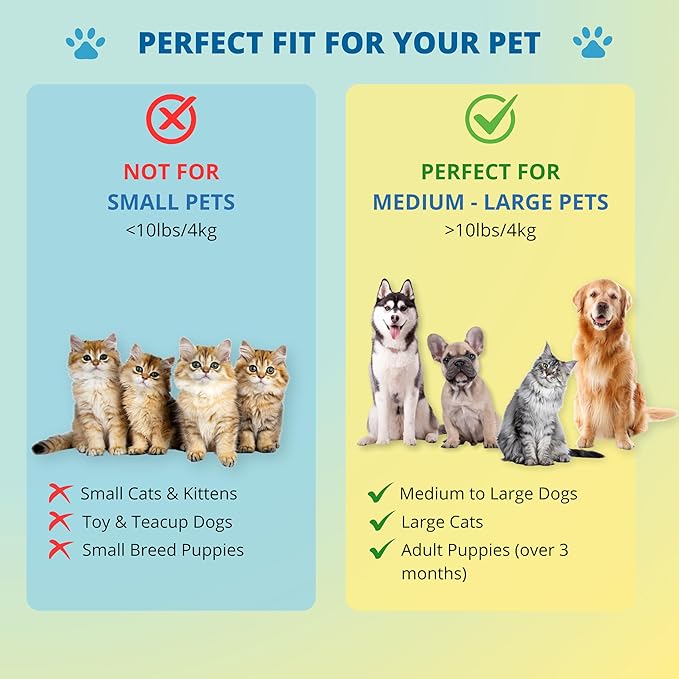 Double-Sided Pet Dog Cat Brush for Detangling Deshedding & Removing Small Mats plus Rubber Dog Bath Brush for Grooming, Shedding, Massage & Skin Care Brush - Best Pet Detangler Brushes