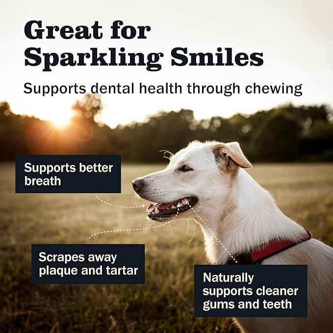 Redbarn Pet Products Natural Large Collagen Sticks for Dogs - Long Lasting Alternative to Traditional Rawhide & Bully - Supports Joint, Skin, & Coat Health - Case of 35