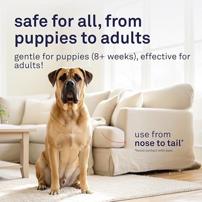 Petpost | Oatmeal & Chamomile Dog Shampoo. Soothes Dry, Sensitive Skin, Moisturizes & Softens Coat with Aloe & Yucca. 8 oz