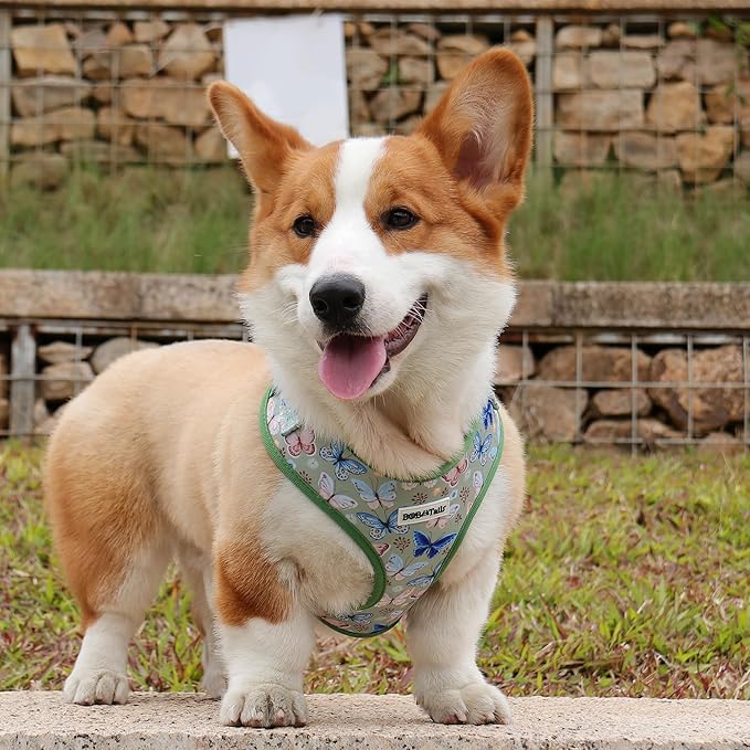 Butterfly Printed Dog Harness with D-Ring Leash Clip Set,Adjustable Soft Padded and Cotton Fabric Pet Vest for Medium and Small Dogs (Green, Small)