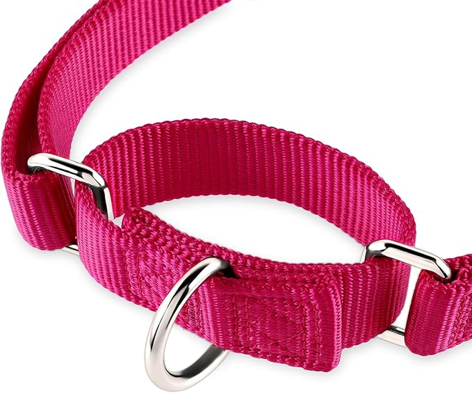 Hyhug Martingale Collar for Dogs Small Pink |Escape - Proof Heavy Duty Nylon Durable No Buckle, Ideal for Training & Daily Walks