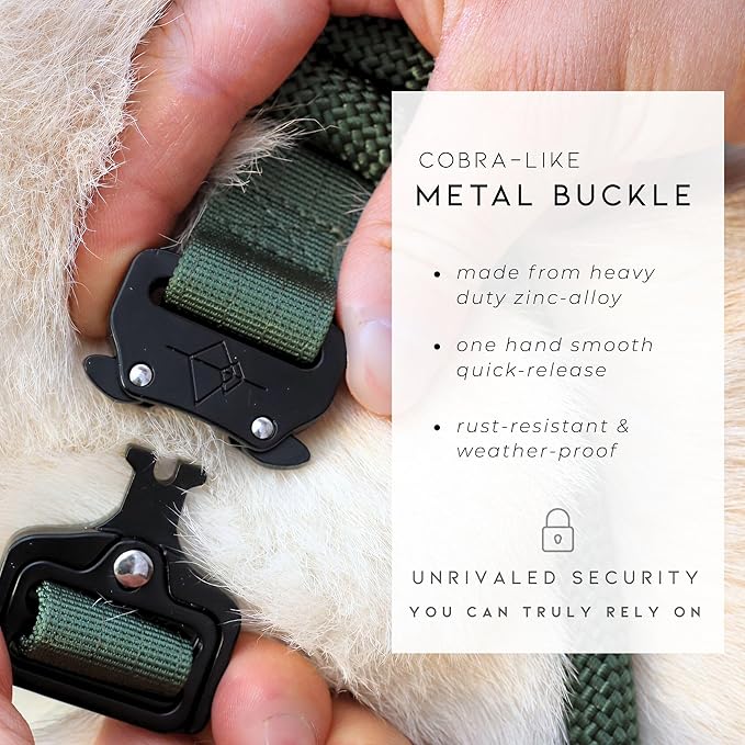 Made to ROAM Premium Explorer Control Collar - Adjustable Heavy Duty Nylon Dog Collar with Quick-Release Metal Buckle and Handle (California Horizon, Control Size 3)