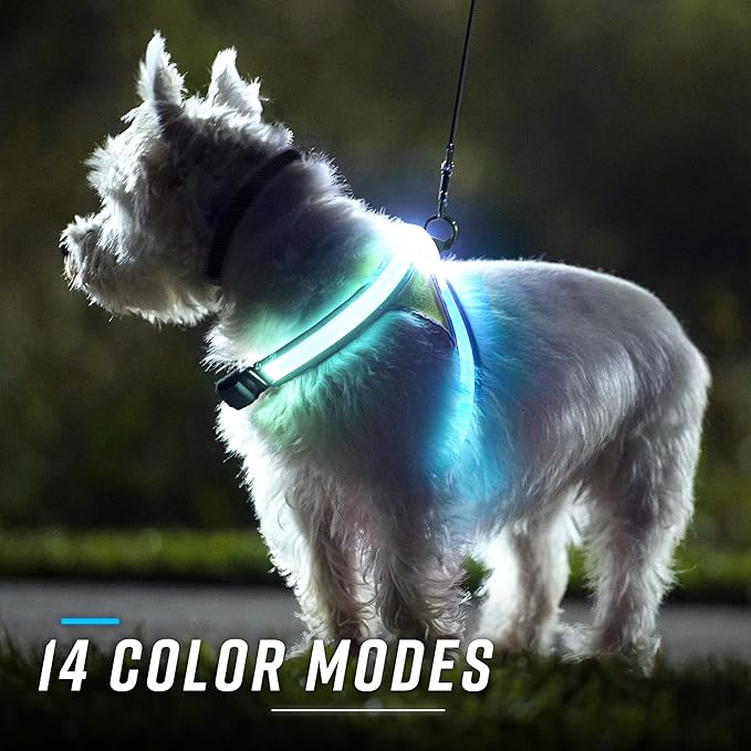 Noxgear LightHound (Small) + High-Visibility Dog Leash – Illuminated and Reflective Harness for Dogs Including Multicolored LED Fiber Optics (USB Rechargeable, Adjustable, Lightweight, Rainproof)