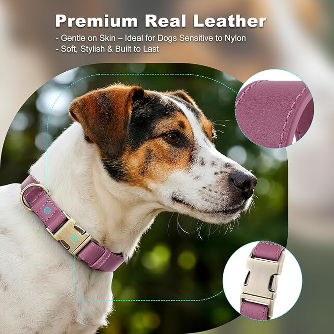Plutus Pet Genuine Leather Dog Collar – Adjustable Pet Collar with Quick Release Metal Buckle, Soft Real Leather for Small Medium Large Dogs, Heavy Duty & Skin-Friendly (Purple, L)